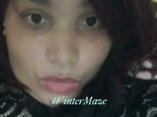 Winter_Maze