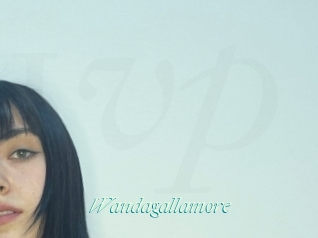 Wandagallamore
