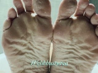 Welshbustyava
