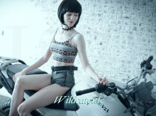 Wildcatcute