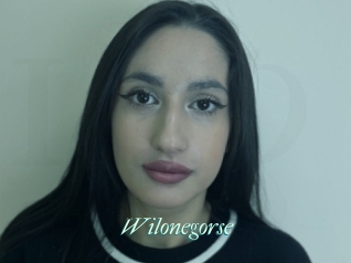 Wilonegorse