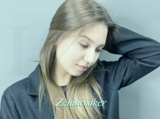 Zeldacoaker